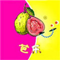 芭乐视频草莓视频向日葵视频黄瓜视频下载APP